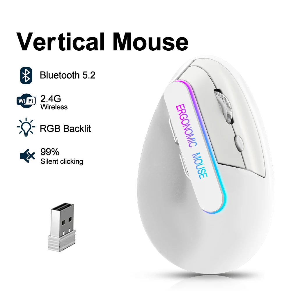 Dual Mode Vertical Ergonomic Mouse — RGB, Wireless 2.4G + Bluetooth, Rechargeable, Silent