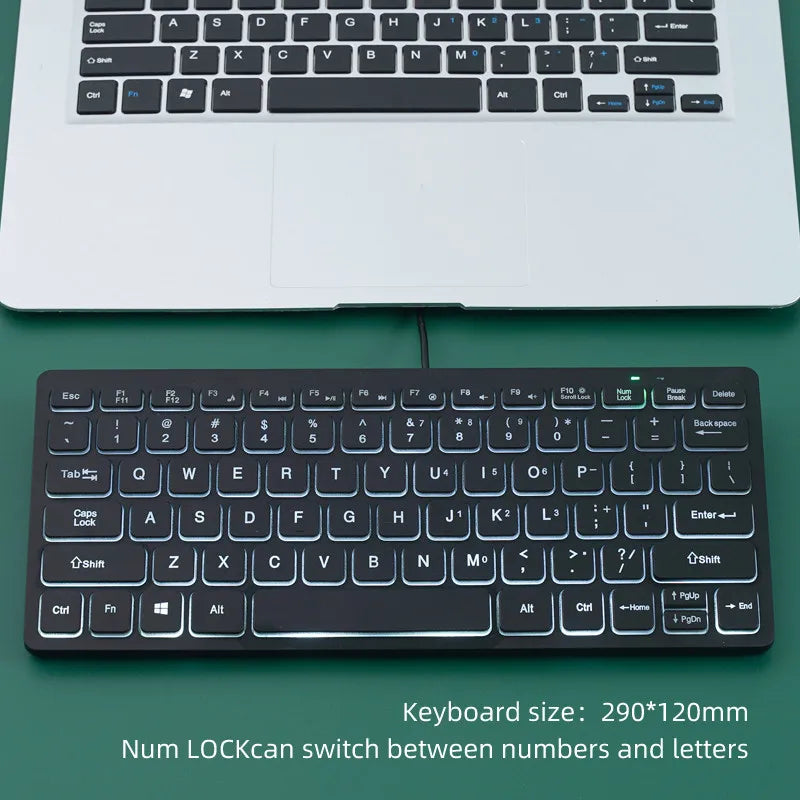 APAYADO K1000 Wired Mini Keyboard - Compact Portable Design, Plug-and-Play, Ideal for Laptops/Computers, Spill-Resistant