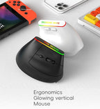 Warvank VM1 Vertical Wireless Mouse — Ergonomic, 1600 DPI, Rechargeable, Silent